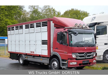 Mercedes-Benz Atego 1329  4x2  KA-BA Viehtransporter Großvieh  - Alte utilaje: Foto 1