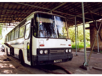 IKARUS 250.59 - Autocar
