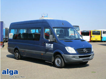 Microbuz, Transport persoane Mercedes-Benz 315 CDI Sprinter, 14 SItze, Klima, Hebebühne: Foto 1