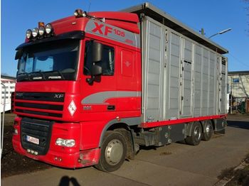 Camion transport animale DAF XF105/460 Spacecup Menke 4 Stock: Foto 1