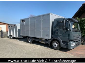 Camion transport animale pentru transport de animale Mercedes-Benz 821L" Neu" WST Edition" Menke Einstock Vollalu: Foto 1