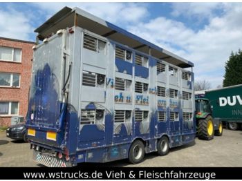 Remorcă transport animale Finkl Tandem Hubdach 3 Stock: Foto 1