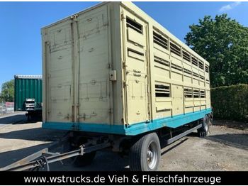 Remorcă transport animale KABA Einstock mit Aufsprung Gitter: Foto 1