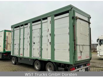 KABA 3 Stock  Hubdach  Vollalu 7,80 m  - Remorcă transport animale