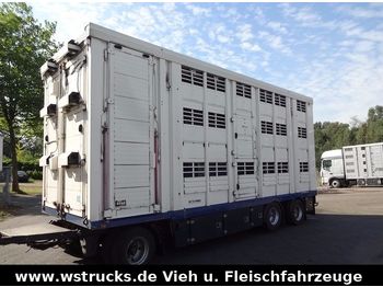 Menke 3 Stock Ausahrbares Dach Vollalu Typ 2  - Remorcă transport animale