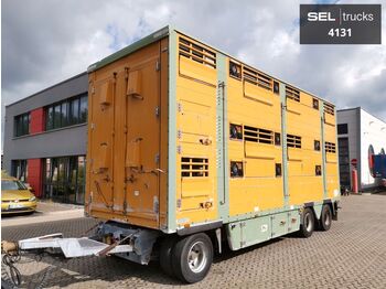 Pezzaioli RBA31 / Hubdach / 3 Stock  - Remorcă transport animale
