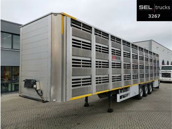 Semiremorcă transport animale Pezzaioli CIMC / SR03 / 4 Stock / Typ 2 / Ferkeltransporte: Foto 1