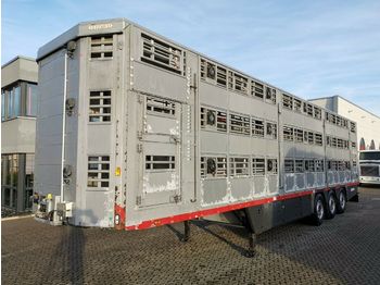 Semiremorcă transport animale Pezzaioli SBA63U / 3 Stock / Hubdach / BPW: Foto 1