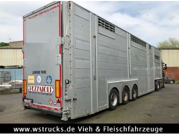 Semiremorcă transport animale Pezzaioli SBA 63 3Stock  Vollausstattung GPS Top Zustand: Foto 1
