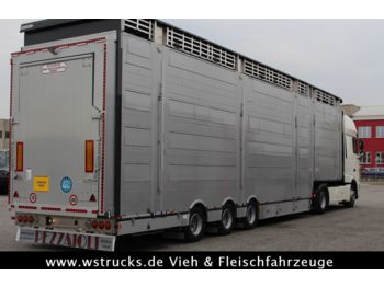 Pezzaioli SBA31-SR  3 Stock "Neu" Vermietung  - Semiremorcă transport animale