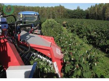 Combină agricola nou Jagoda Beeren Erntemaschine/ Berries harvester/Cosechadora: Foto 1